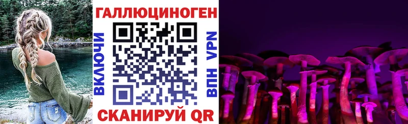 Псилоцибиновые грибы мухоморы  где можно купить наркотик  Махачкала 