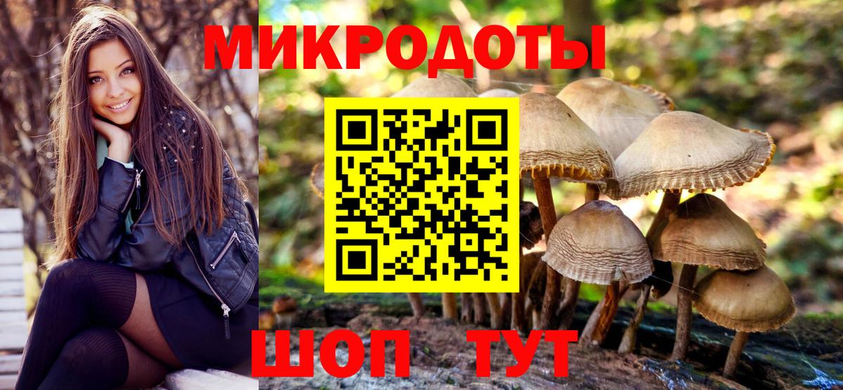 Махачкала  Псилоцибиновые грибы MAGIC MUSHROOMS  Вход с VPN  цена   Галлюциногенные грибы мухоморы 